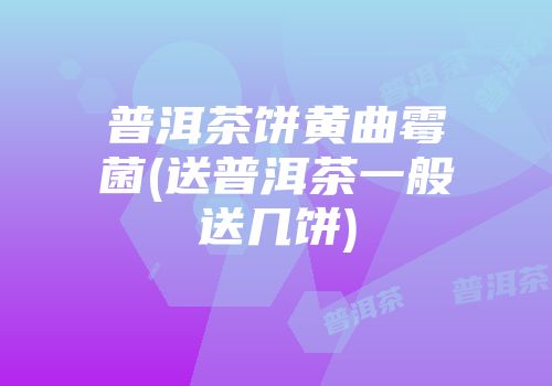 普洱茶饼黄曲霉菌(送普洱茶一般送几饼)