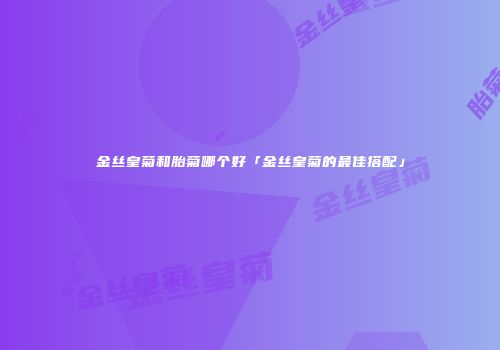 金丝皇菊和胎菊哪个好「金丝皇菊的最佳搭配」