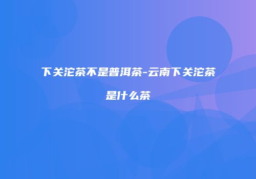 下关沱茶不是普洱茶-云南下关沱茶是什么茶