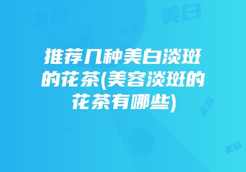 推荐几种美白淡斑的花茶(美容淡斑的花茶有哪些)