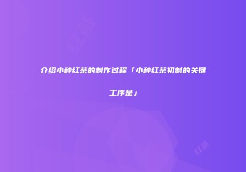 介绍小种红茶的制作过程「小种红茶初制的关键工序是」