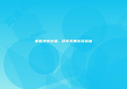 掌握冲泡水温，尽享武夷岩茶韵味