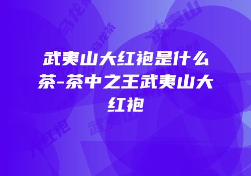 武夷山大红袍是什么茶-茶中之王武夷山大红袍