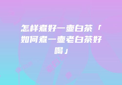 怎样煮好一壶白茶「如何煮一壶老白茶好喝」