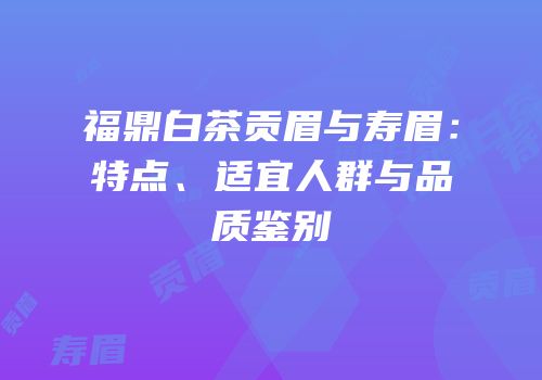 福鼎白茶贡眉与寿眉：特点、适宜人群与品质鉴别