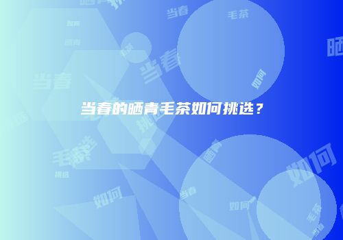 当春的晒青毛茶如何挑选？