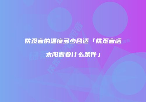 铁观音的温度多少合适「铁观音晒太阳需要什么条件」