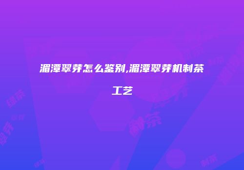 湄潭翠芽怎么鉴别,湄潭翠芽机制茶工艺