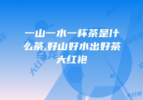 一山一水一杯茶是什么茶,好山好水出好茶大红袍