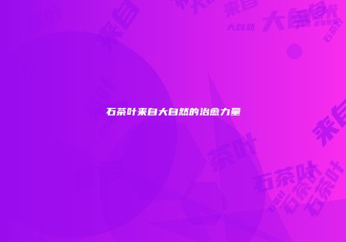 石茶叶来自大自然的治愈力量