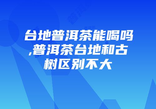 台地普洱茶能喝吗,普洱茶台地和古树区别不大