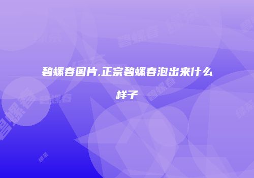 碧螺春图片,正宗碧螺春泡出来什么样子