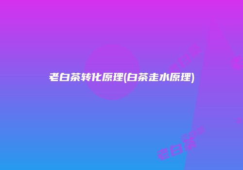 老白茶转化原理(白茶走水原理)