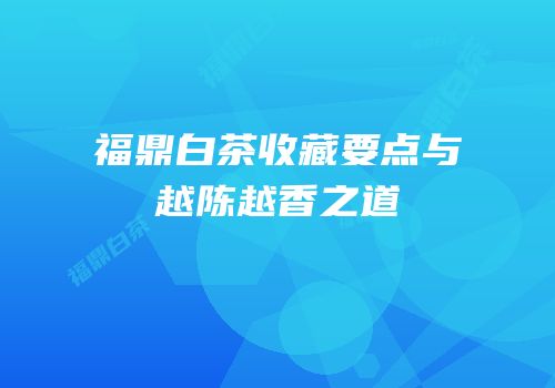 福鼎白茶收藏要点与越陈越香之道
