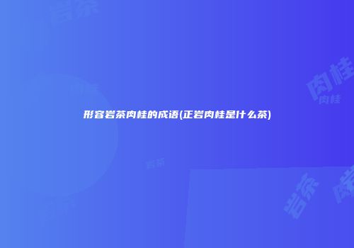 形容岩茶肉桂的成语(正岩肉桂是什么茶)
