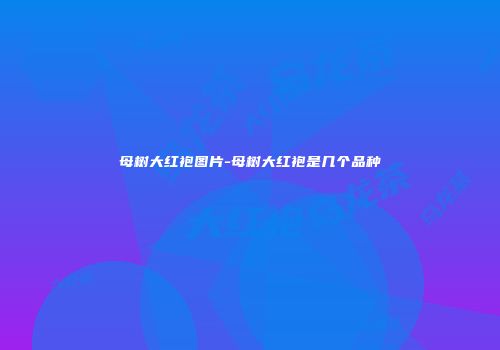 母树大红袍图片-母树大红袍是几个品种