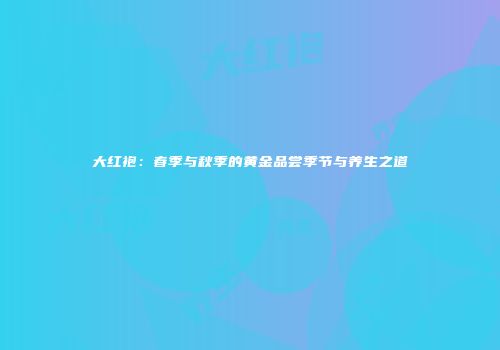 大红袍：春季与秋季的黄金品尝季节与养生之道