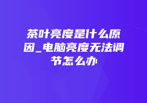 茶叶亮度是什么原因_电脑亮度无法调节怎么办