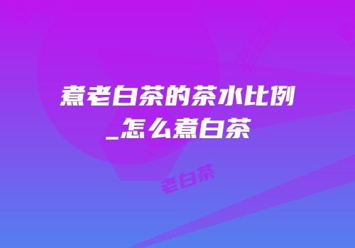 煮老白茶的茶水比例_怎么煮白茶