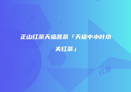 正山红茶天福茗茶「天福中小叶功夫红茶」