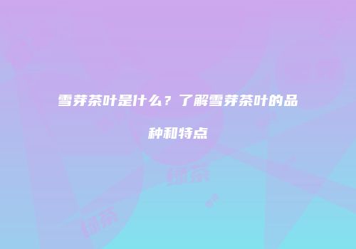 雪芽茶叶是什么？了解雪芽茶叶的品种和特点