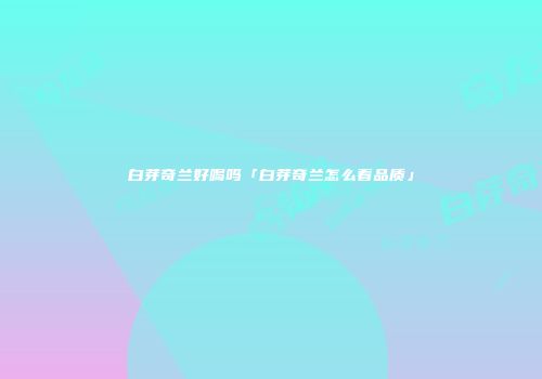 白芽奇兰好喝吗「白芽奇兰怎么看品质」