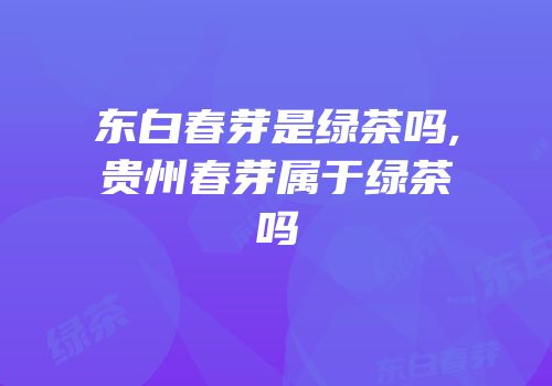 东白春芽是绿茶吗,贵州春芽属于绿茶吗