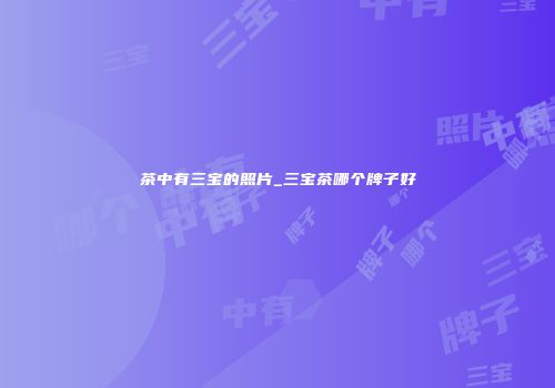 茶中有三宝的照片_三宝茶哪个牌子好