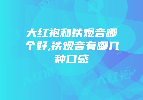 大红袍和铁观音哪个好,铁观音有哪几种口感