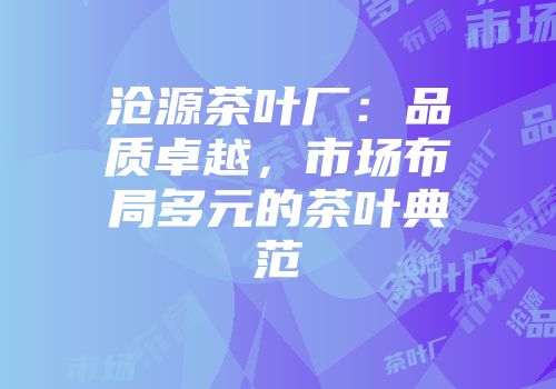 沧源茶叶厂：品质卓越，市场布局多元的茶叶典范