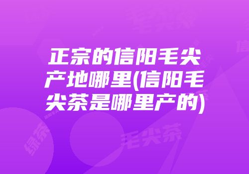 正宗的信阳毛尖产地哪里(信阳毛尖茶是哪里产的)