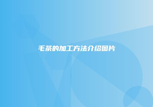 毛茶的加工方法介绍图片