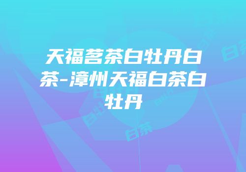 天福茗茶白牡丹白茶-漳州天福白茶白牡丹