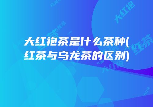 大红袍茶是什么茶种(红茶与乌龙茶的区别)