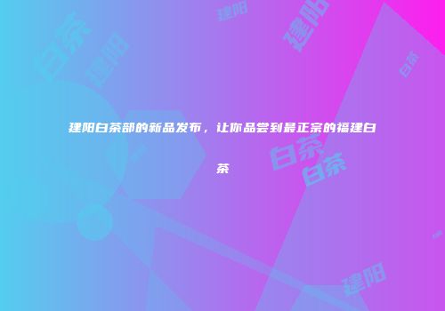 建阳白茶部的新品发布，让你品尝到最正宗的福建白茶