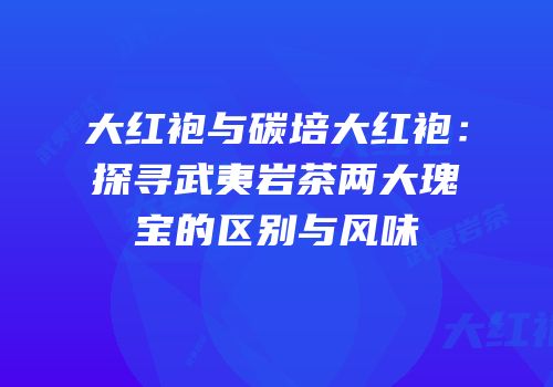 大红袍与碳培大红袍：探寻武夷岩茶两大瑰宝的区别与风味