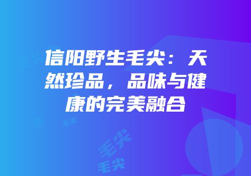 信阳野生毛尖：天然珍品，品味与健康的完美融合