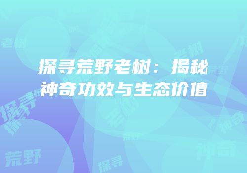 探寻荒野老树：揭秘神奇功效与生态价值
