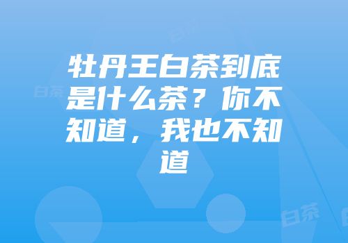 牡丹王白茶到底是什么茶？你不知道，我也不知道