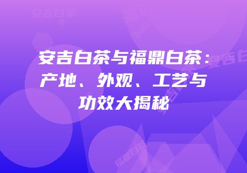 安吉白茶与福鼎白茶：产地、外观、工艺与功效大揭秘