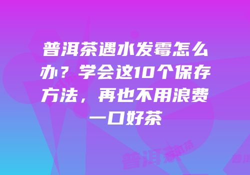 普洱茶遇水发霉怎么办？学会这10个保存方法，再也不用浪费一口好茶