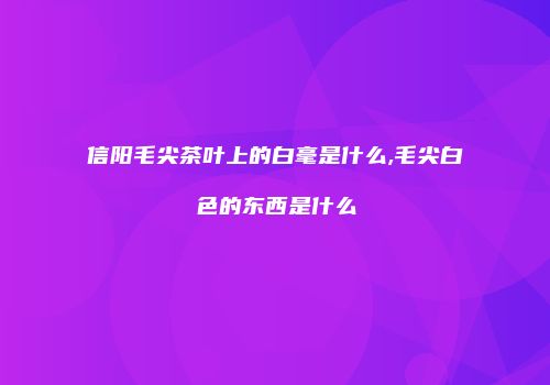 信阳毛尖茶叶上的白毫是什么,毛尖白色的东西是什么