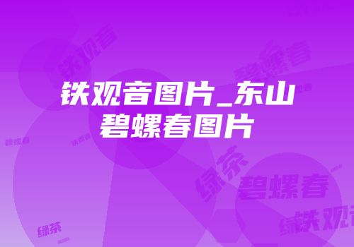 铁观音图片_东山碧螺春图片