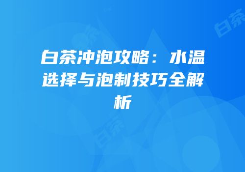 白茶冲泡攻略：水温选择与泡制技巧全解析