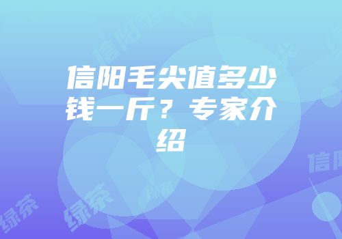 信阳毛尖值多少钱一斤？专家介绍