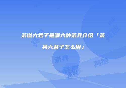 茶道六君子是哪六种茶具介绍「茶具六君子怎么用」