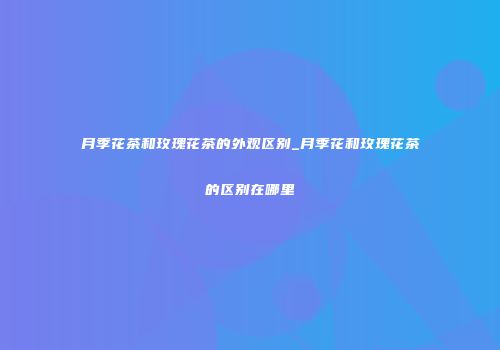 月季花茶和玫瑰花茶的外观区别_月季花和玫瑰花茶的区别在哪里