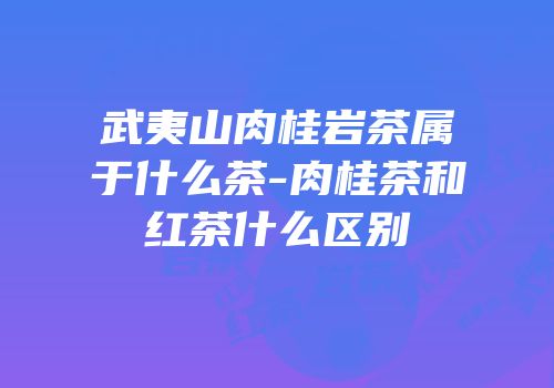 武夷山肉桂岩茶属于什么茶-肉桂茶和红茶什么区别