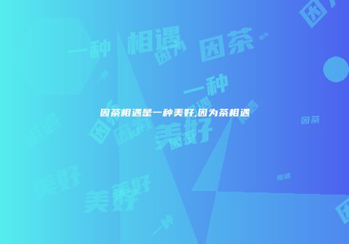 因茶相遇是一种美好,因为茶相遇