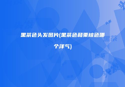黑茶色头发图片(黑茶色和栗棕色哪个洋气)